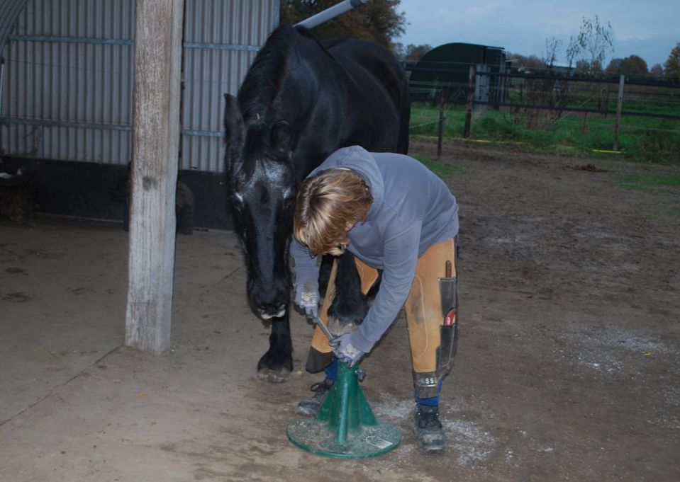 Ik tijdens het vijlen van een hoef