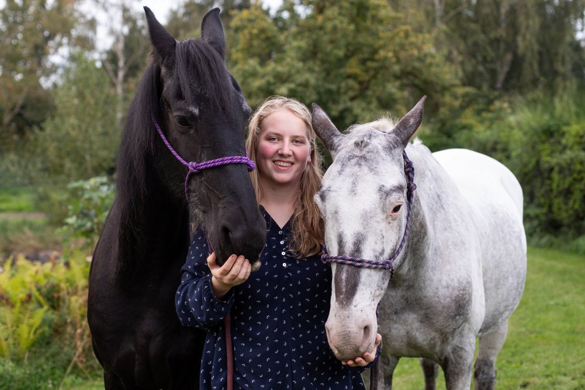 Ik en mijn twee paarden