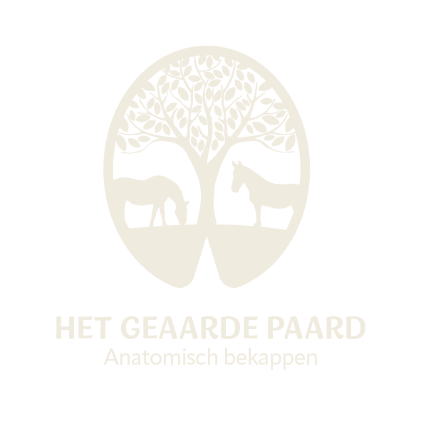 Het Geaarde Paard